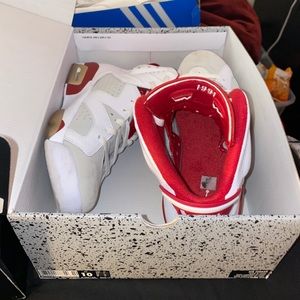 Air Jordan 6 Retro